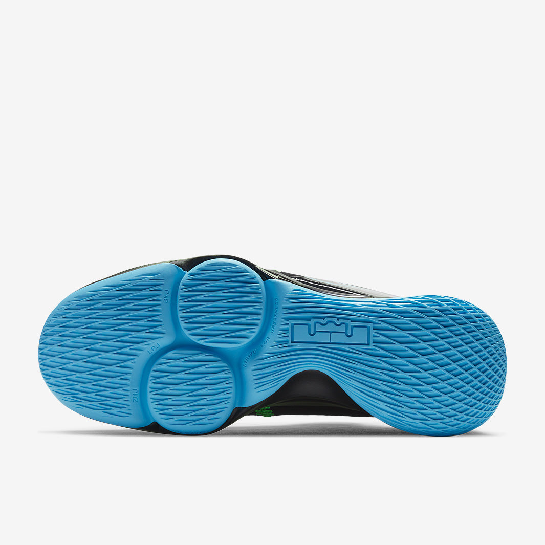 Nike LeBron Witness 5